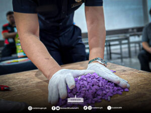 boc-clark-seizes-p5.1-m-ecstasy-declared-as-pet-food