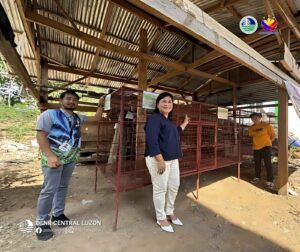 denr,-safari-park-partner-to-strengthen-wildlife-rescue-efforts-in-bataan