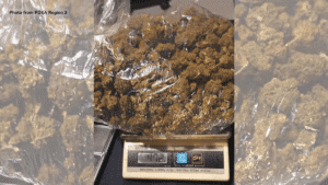 over-₱700-k-worth-of-kush-seized-at-port-of-clark