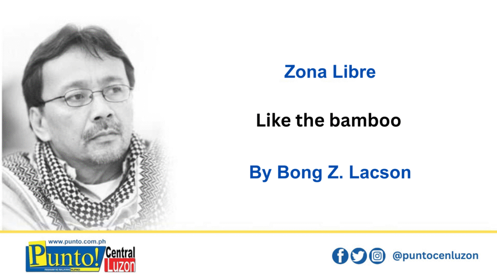 like-the-bamboo