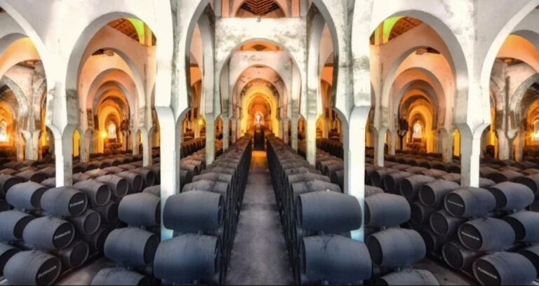 bodegas-fundador-in-spain-nets-tripadvisor-travelers’-choice️-2025-award
