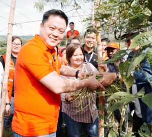 capitol,-dswd-join-harvest-of-‘bahay-kubo’-veggies