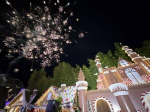 experience-an-enchanted-christmas-at-the-orchid-gardens