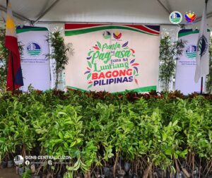 denr-steps-up-reforestation-with-5k-seedlings-in-central-luzon