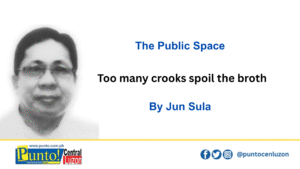 too-many-crooks-spoil-the-broth