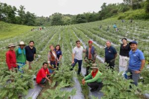 bcda-upskills-indigenous-farmers-through-ayta-ethno-botanical-center-in-new-clark-city