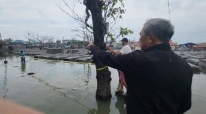 higher-floodwaters-in-cemeteries-expected-due-to-high-tide