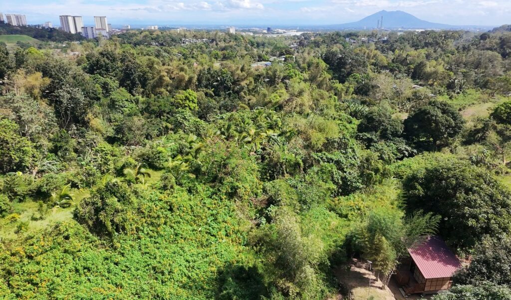 tree-cutting,-building-ban-in-ac-watershed-pushed