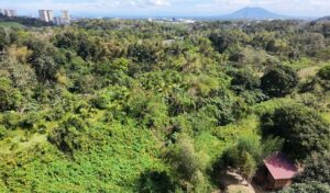 tree-cutting,-building-ban-in-ac-watershed-pushed 