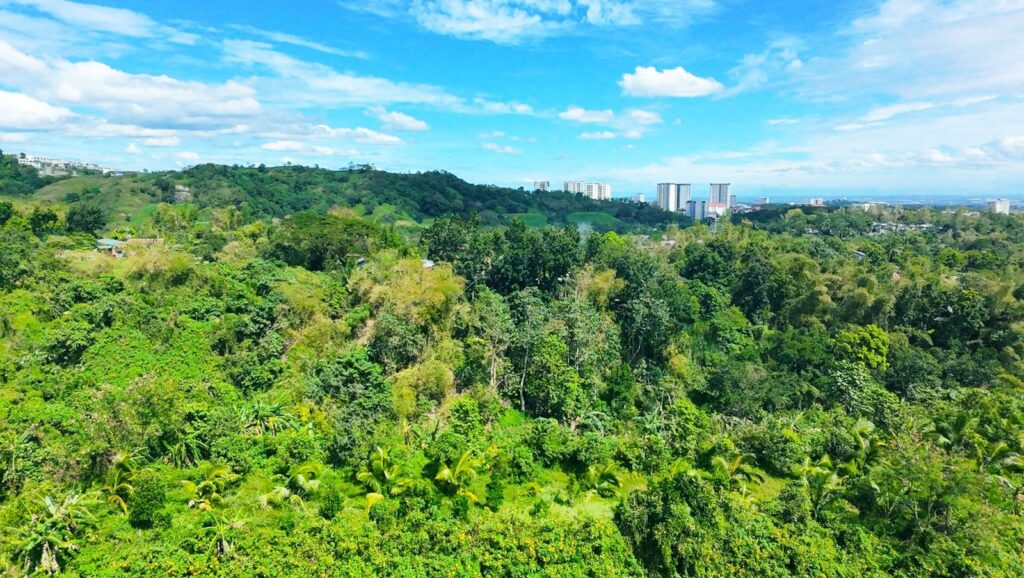 cong-pogi:-add-tree-planting-as-requirement-for-building-permits