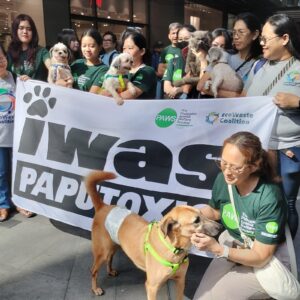 ecowaste-coalition,-paws-push-‘iwas-paputoxic’-to-protect-animals-ahead-of-new-year’s-eve 