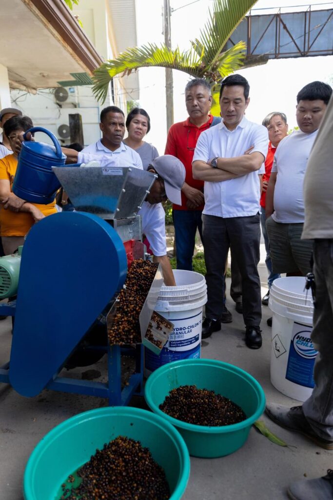 ac-launches-coffee,-corn-and-cassava-projects-for-local,-indigenous-farmers