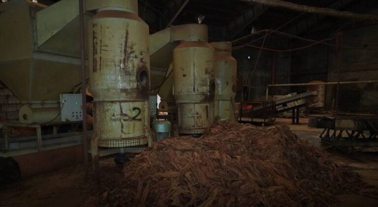 boc,-dilg-shut-down-4-illegal-tobacco-factories-in-pampanga