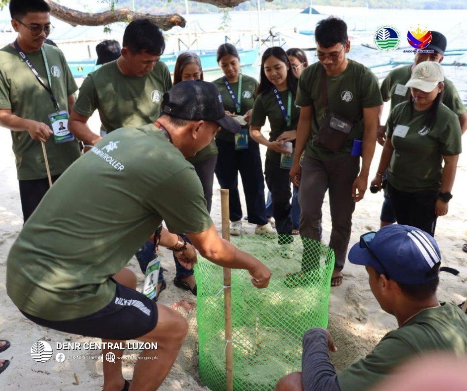 denr-boosts-marine-turtle-protection-in-zambales