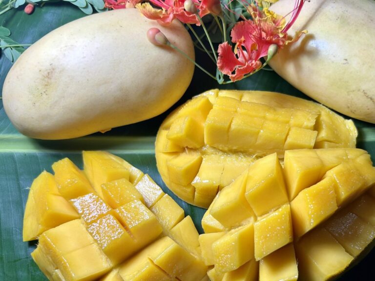 colorful-mango-festival-spotlights-zambales-summer
