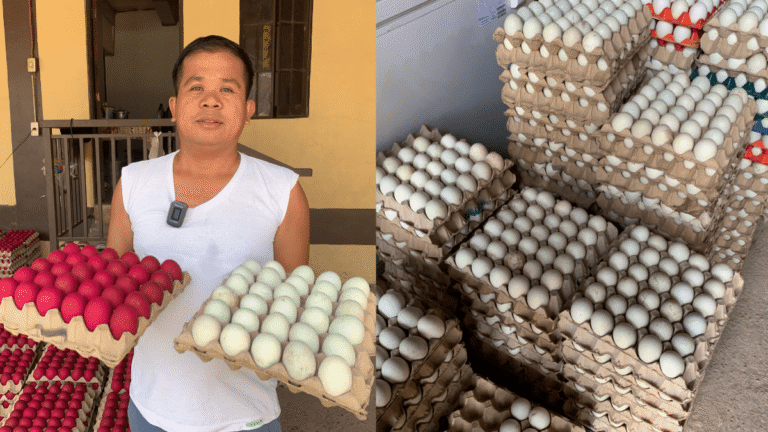 egg-producers-sa-candaba,-sinasalanta-na-ng-mataas-na-presyo-ng-krudo
