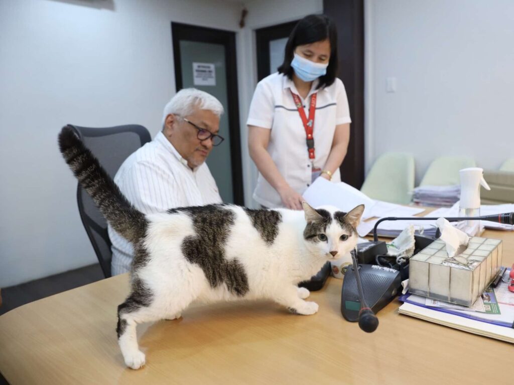 cong-pogi-supports-paws’-call-for-free-spay,-neuter-in-lgus