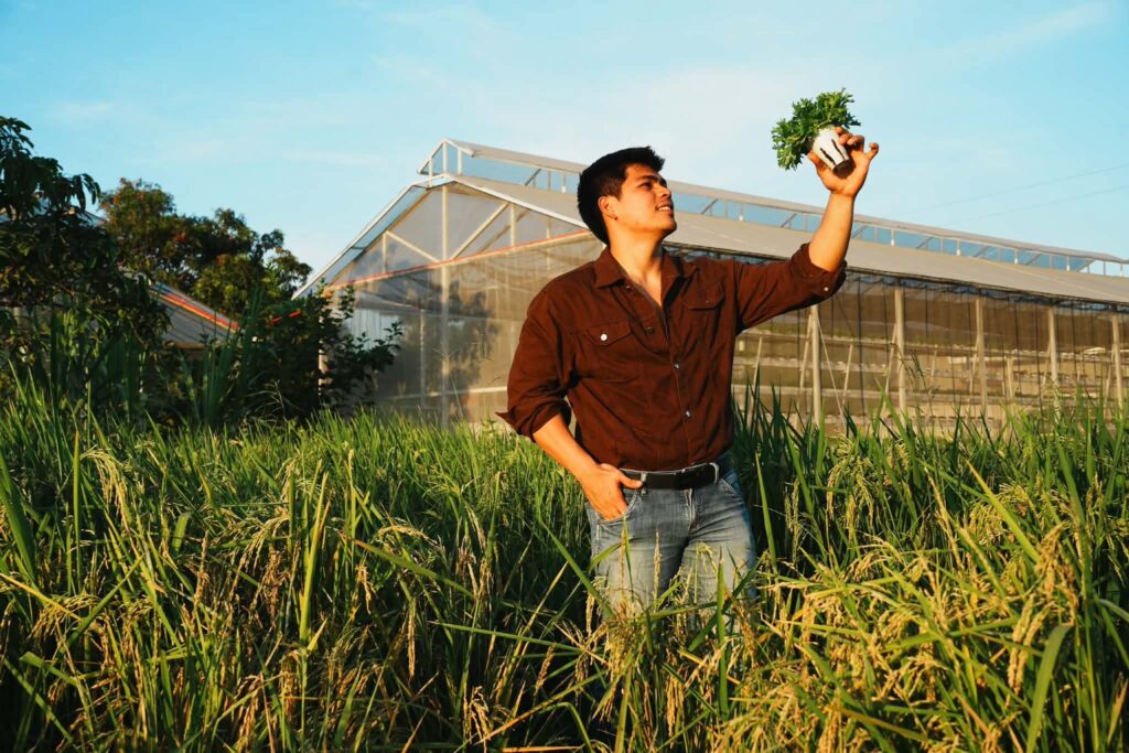 beyond-the-greens:-how-harold-zapata-is-cultivating-a-hydroponic-revolution-in-pampanga