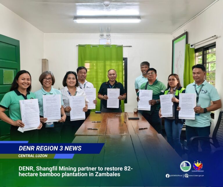 denr-shangil-to-restore-82-ha-bamboo-plantation-in-zambales