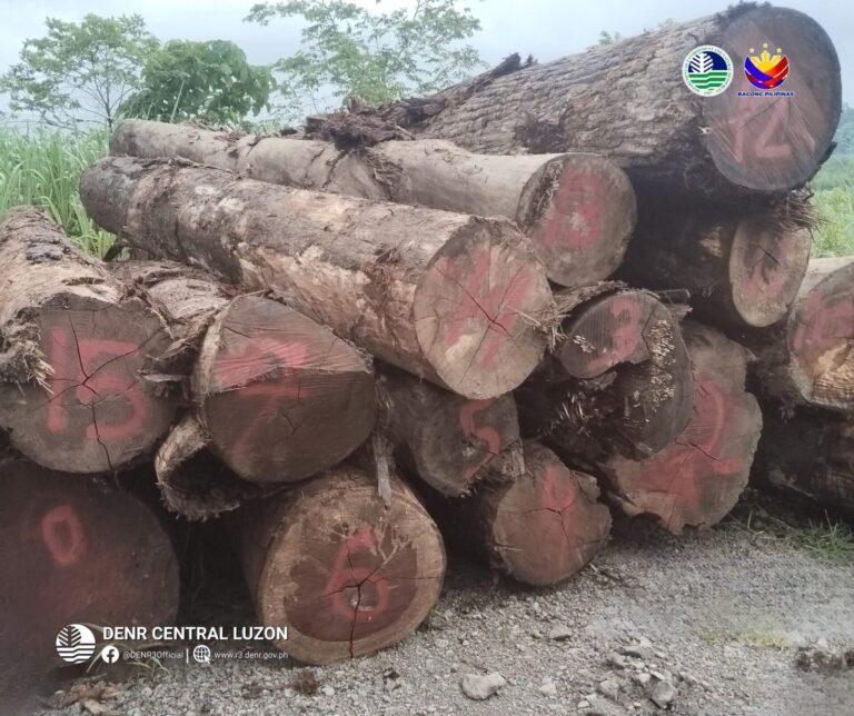 denr-donates-logs-for-upgrade-of-public-school-facilities-in-bataan