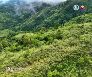 denr-partners-with-private-groups-to-restore,-protect-forestlands-in-tarlac