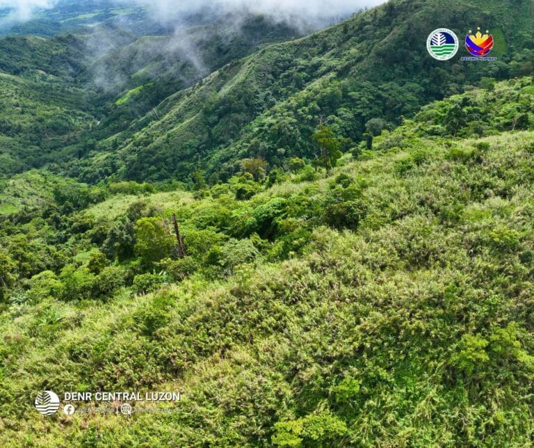 denr-partners-with-private-groups-to-restore,-protect-forestlands-in-tarlac