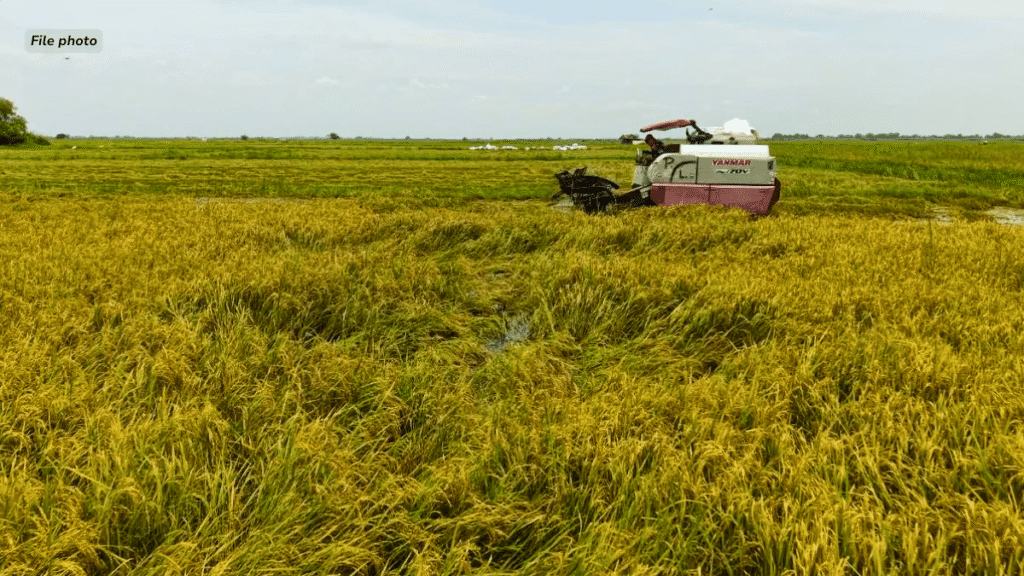 ₱34-m-agri-and-fisheries-damage,-naitala-sa-pampanga-bunsod-ng-mga-bagyo,-habagat