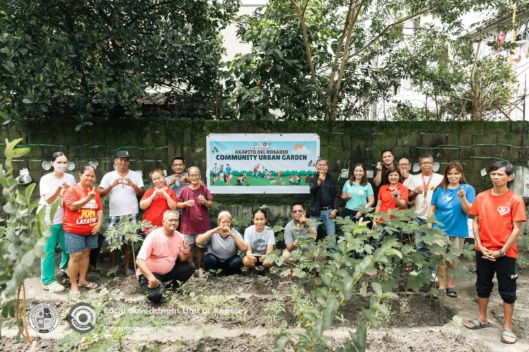 angeles-city-gov’t-teaches-hydroponics,-seedling-production-to-barangays