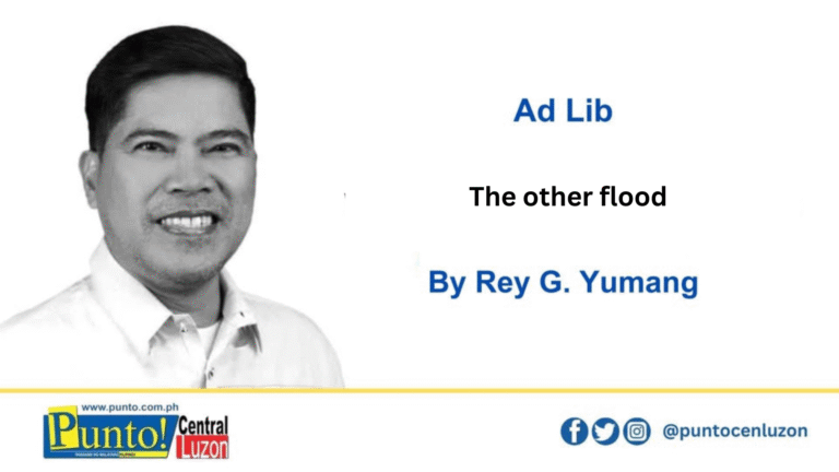 the-other-flood 