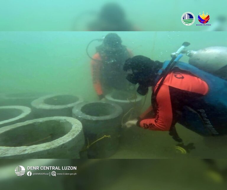 denr,-divers-team-up-to-bring-life-back-to-zambales-seas-with-artificial-reefs