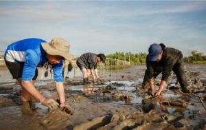 aboitizpower-adopts-37-hectares-of-mangrove-forests-in-bataan
