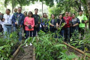 sbma,-dti-inaugurate-bamboo-nursery-in-subic-freeport