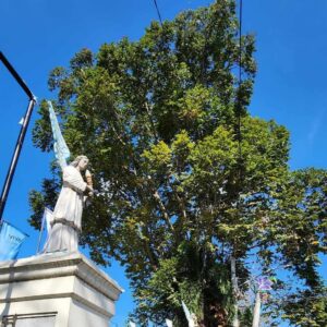 symphony-and-culture