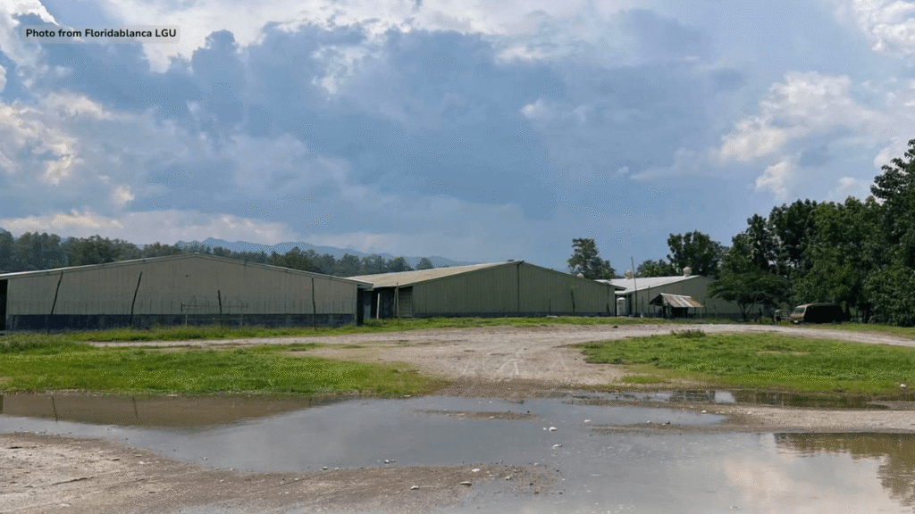 poultry-farm-sa-floridablanca,-ininspeksyon-ng-lgu-kasunod-ng-mga-reklamo-sa-langaw
